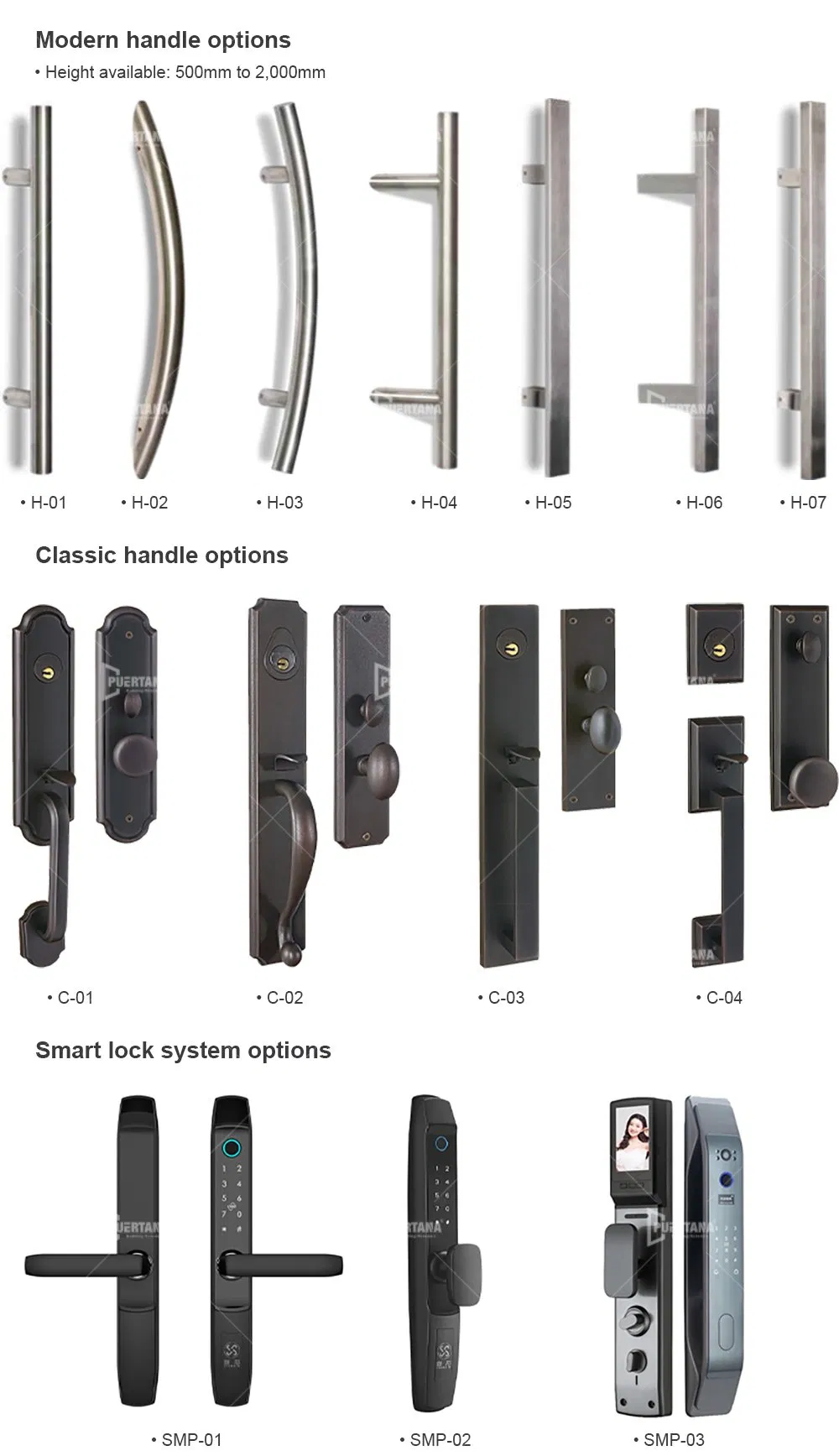 Detailed Pivot Door Photo 2