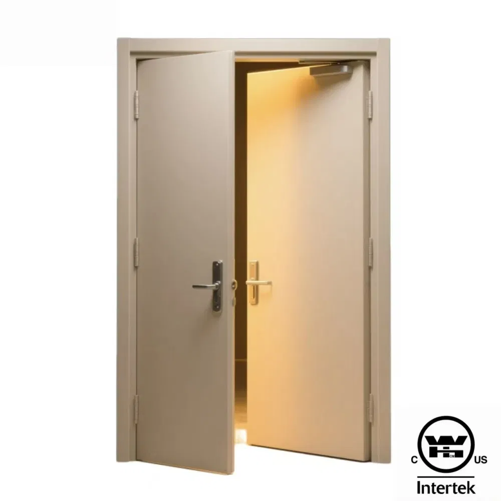 Premium Galvanized Steel Fire-Rated Door with Auto-Closer Corrosion-Resistant Security Entry for Commercial, Healthcare &amp; Public Buildings Code Compliant