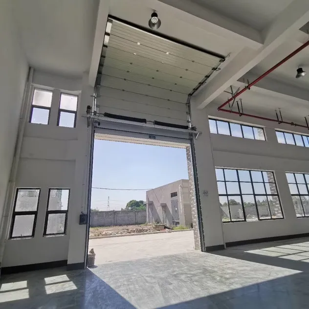 Lifting Door Example