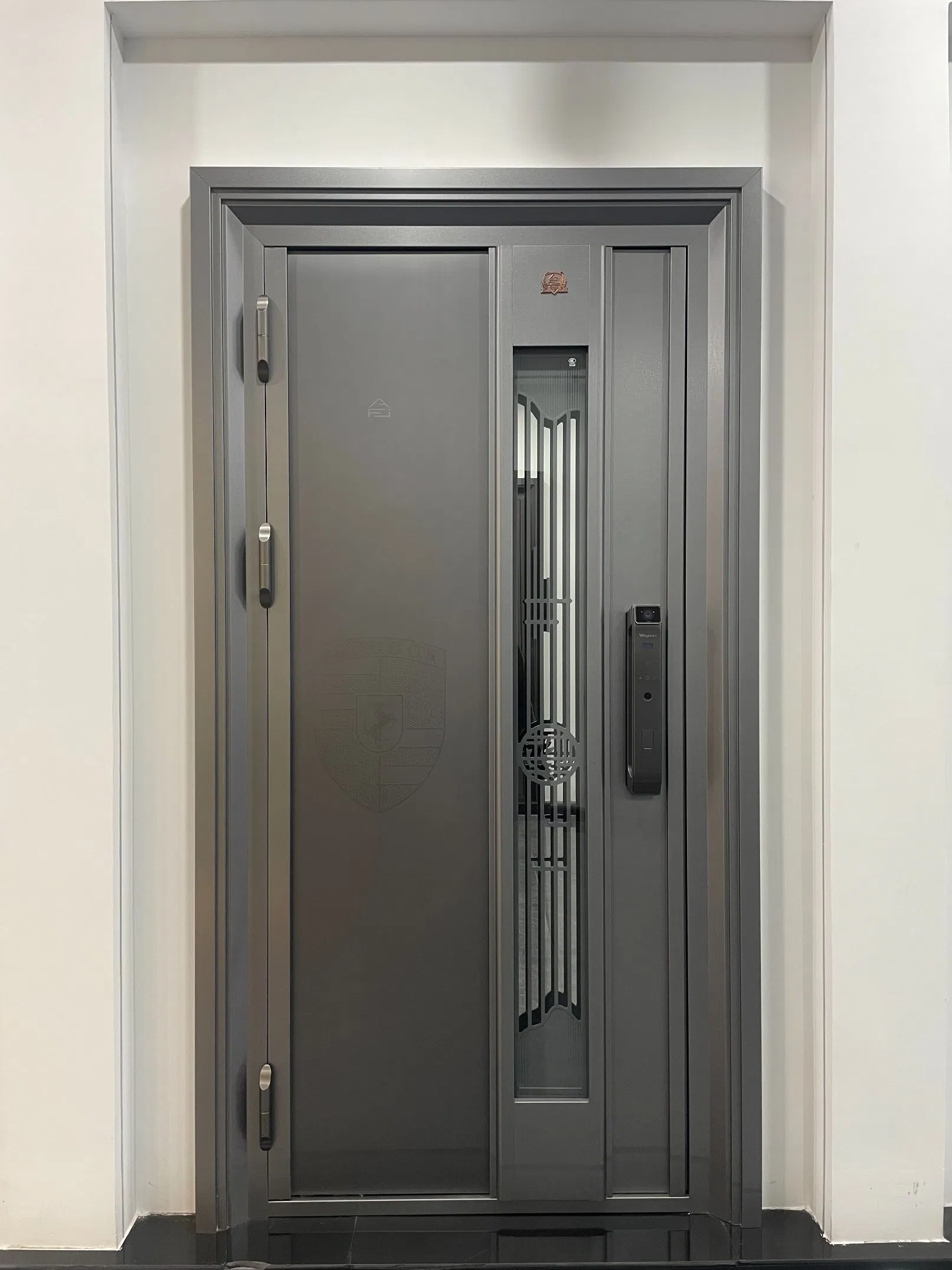 High-Security Stainless Steel Security Entry Door with Multi-Point Locking System
