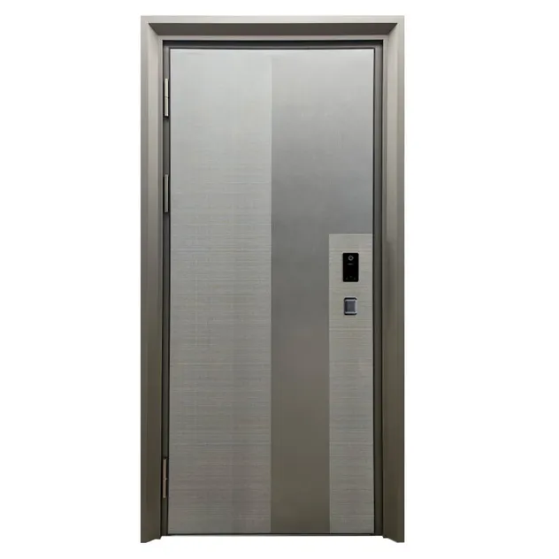 Entrance Door Design 6