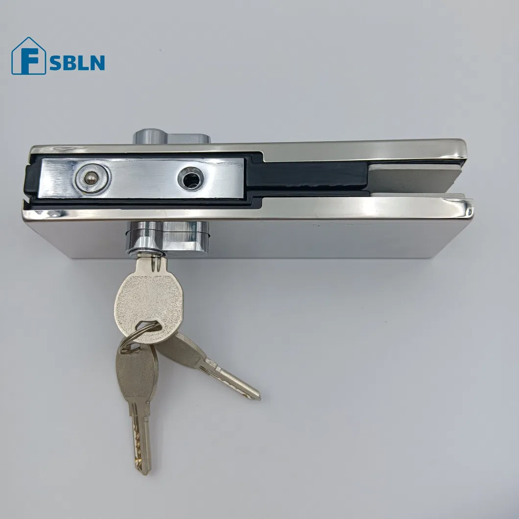 Glass Door Patch Fitting 1