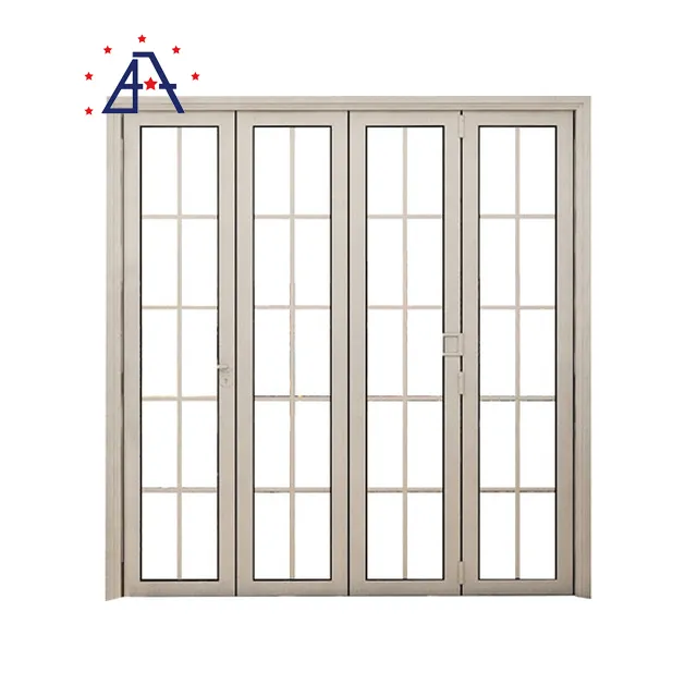 Folding Door 3