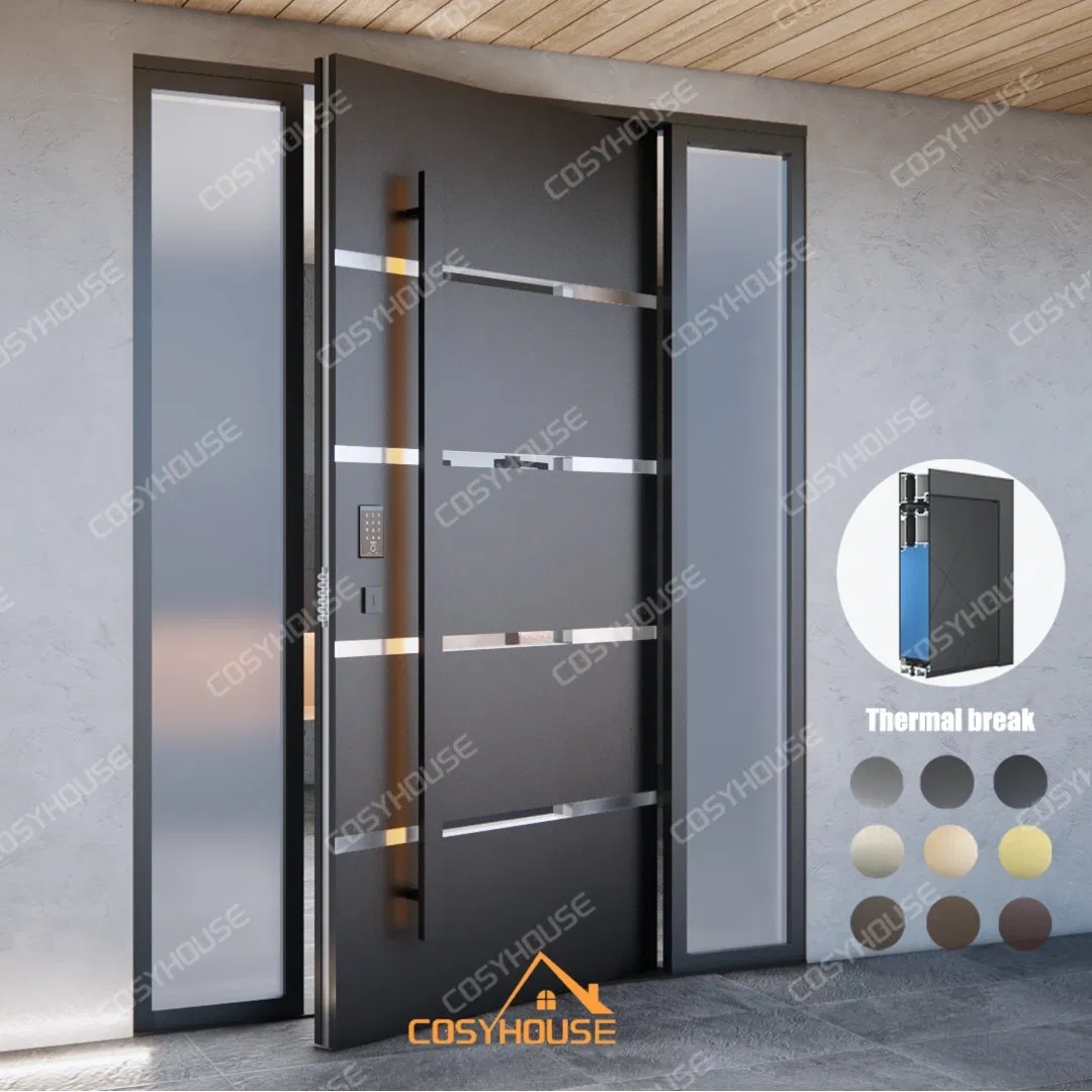 Custom Exterior Front Door with Aged Bronze Finish and Side Panels for Upscale Villas and Apartments