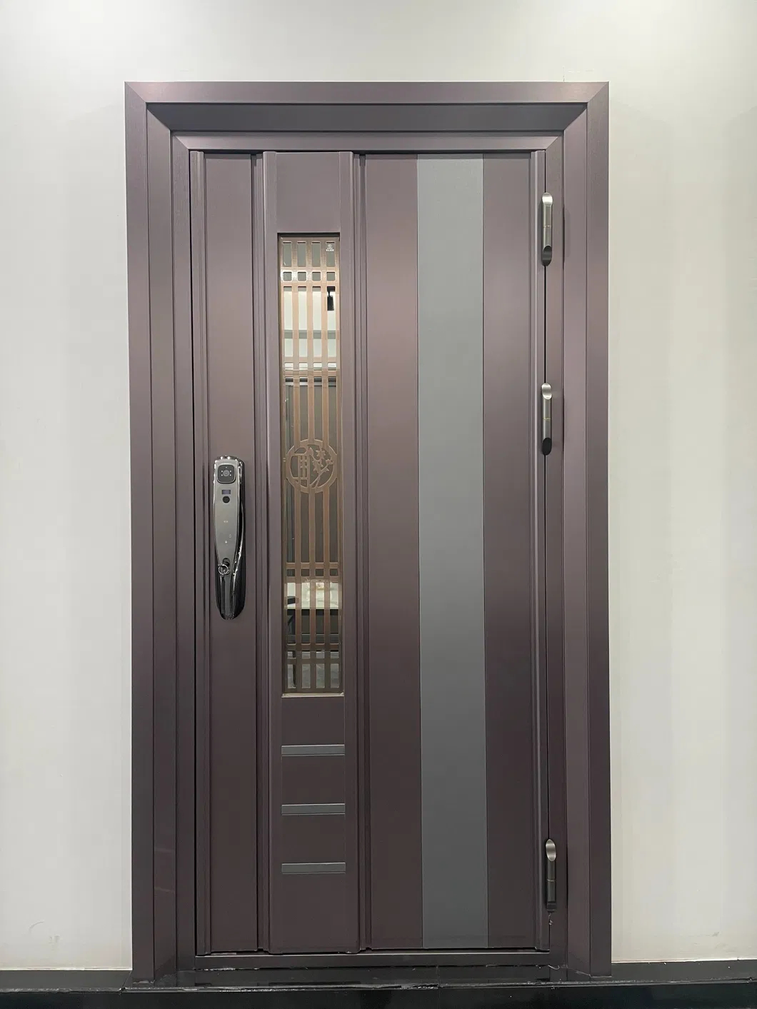 Security Door Feature 1