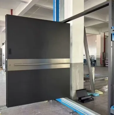 Aluminum Glass Pivot Door 3