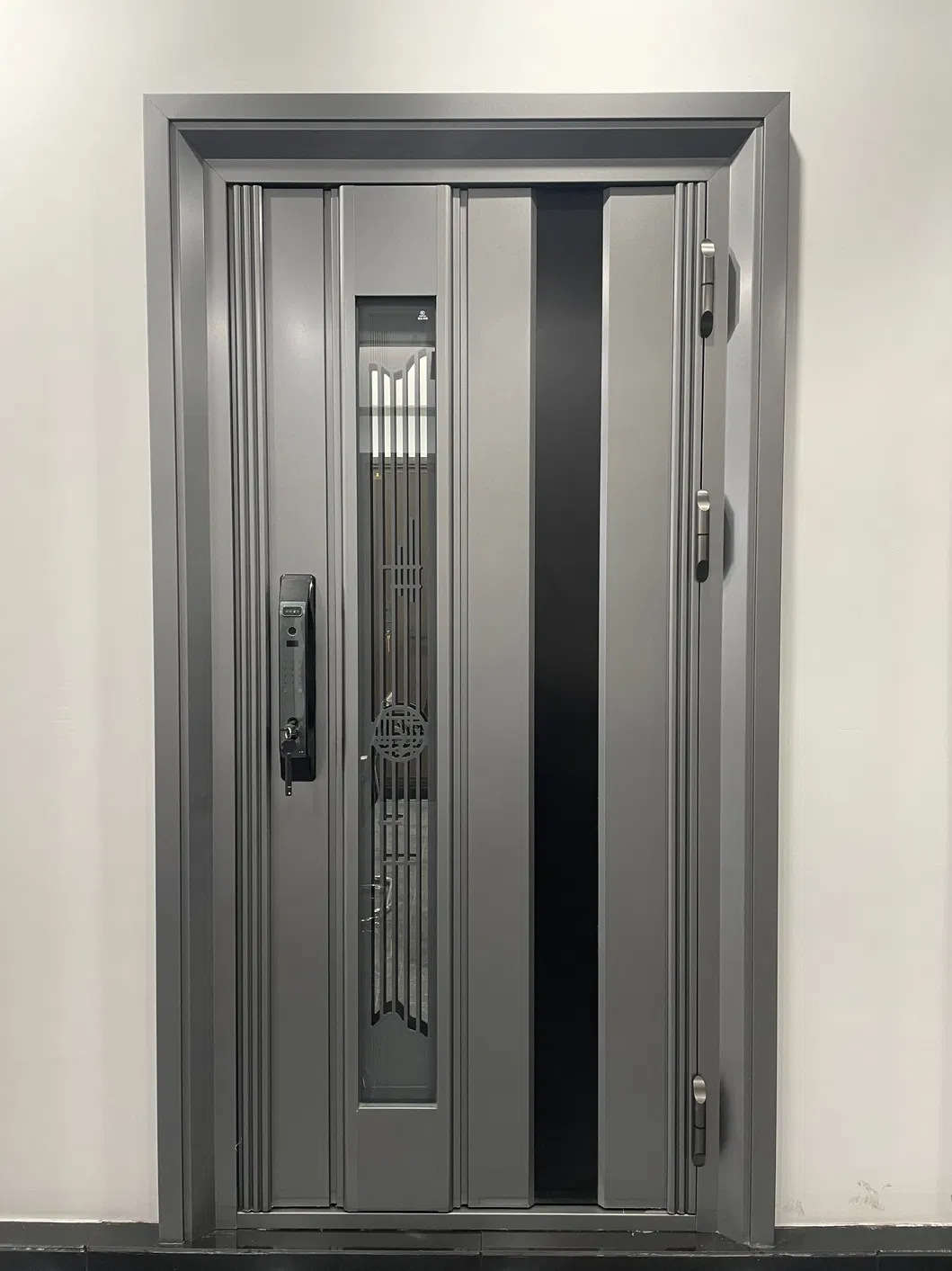 Security Door Feature 3