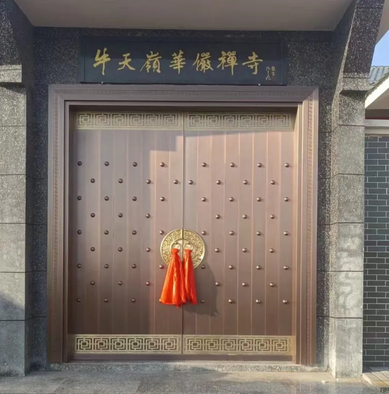 Stainless Front Entry Door