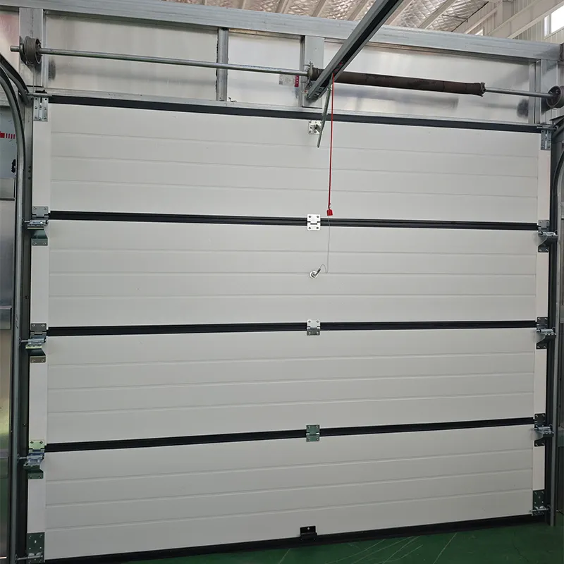 Garage Door Design 1