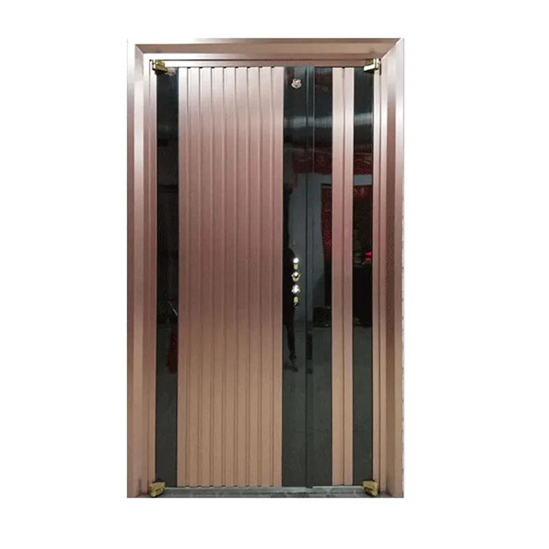 Steel Security Door View 3