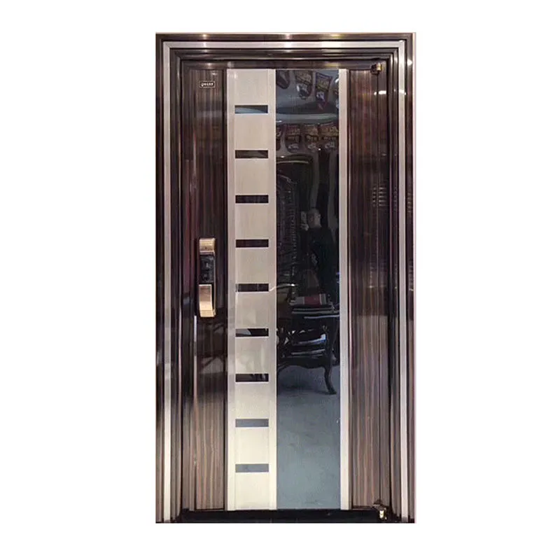 Steel Security Door View 2