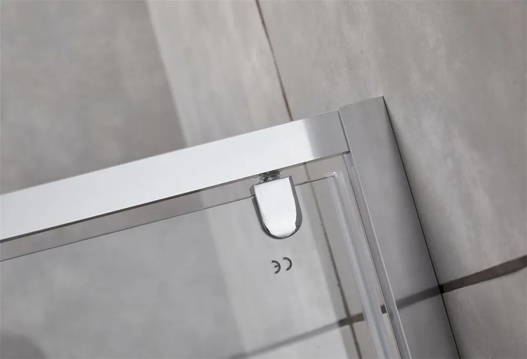 Shower Door Detail 3