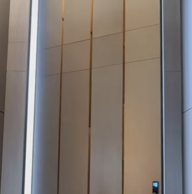 Front Entry Wood Color Aluminum Glass Pivot Door