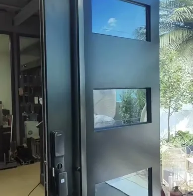 Aluminum Glass Pivot Door 7
