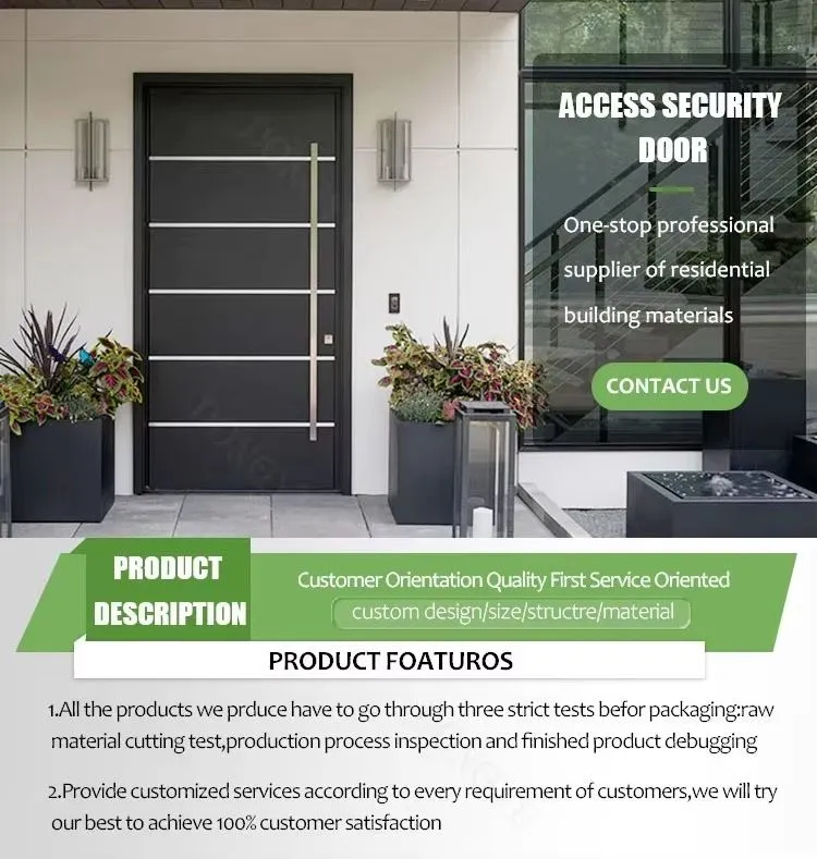 Steel Entry Door Detail 1