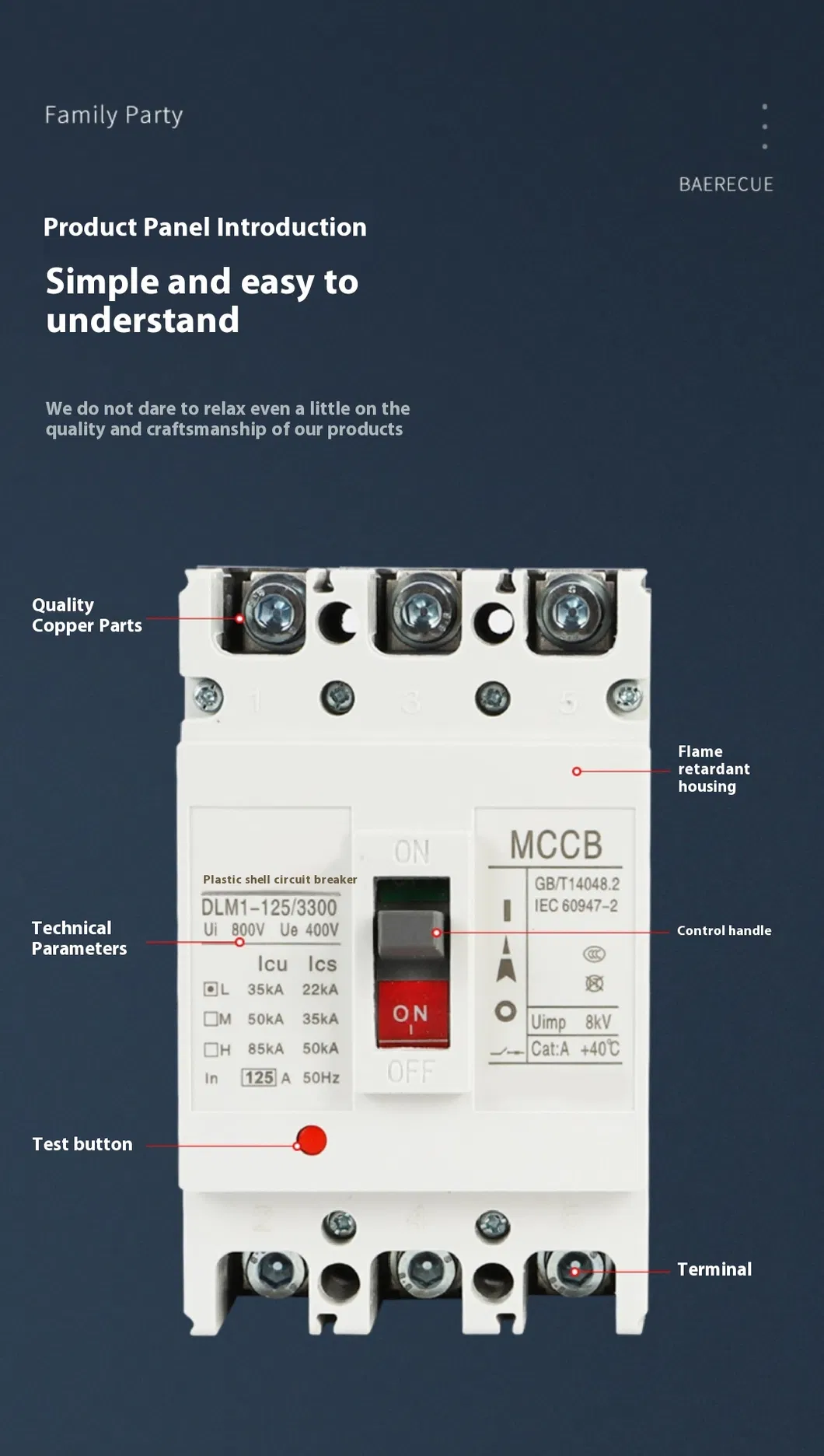 Voltage Stabilizer Detail 3