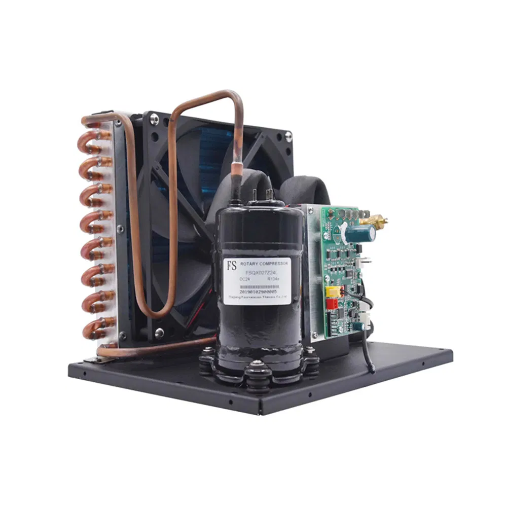 R290 12V 24V DC Fridge Compressor Mini Condensing Unit Air Cooled for Mini Refrigerator Freezer