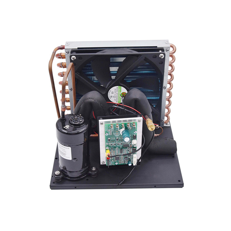 R290 12V 24V DC Fridge Compressor Mini Condensing Unit Air Cooled for Mini Refrigerator Freezer