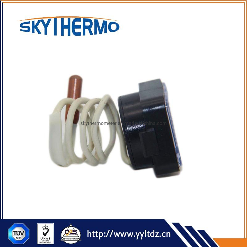 Capillary Case Plastic Capillary Thermometer with Pcv Coated Capillary