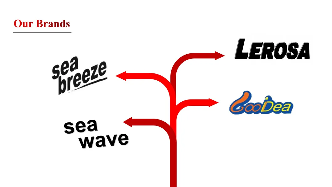 Professional Service