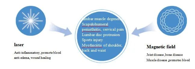 Laser Electro Magnetic Therapy Interface