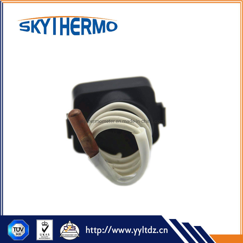 Capillary Case Plastic Capillary Thermometer with Pcv Coated Capillary