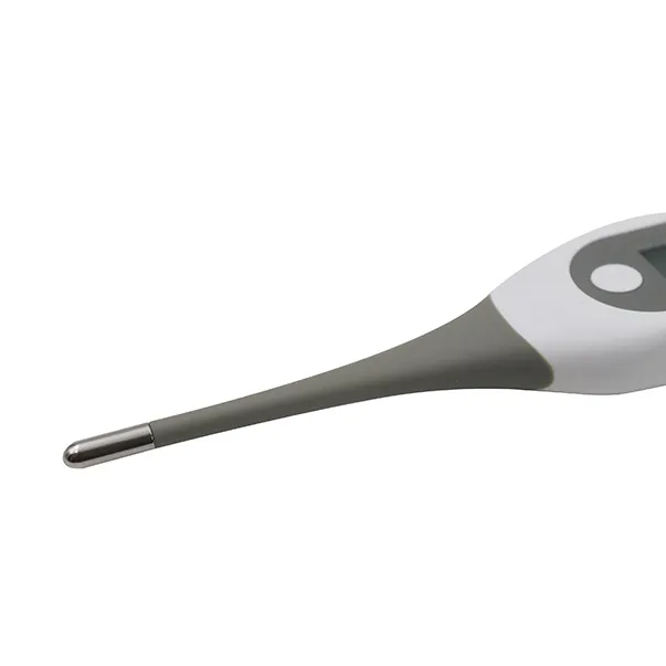 Digital Thermometer View 2