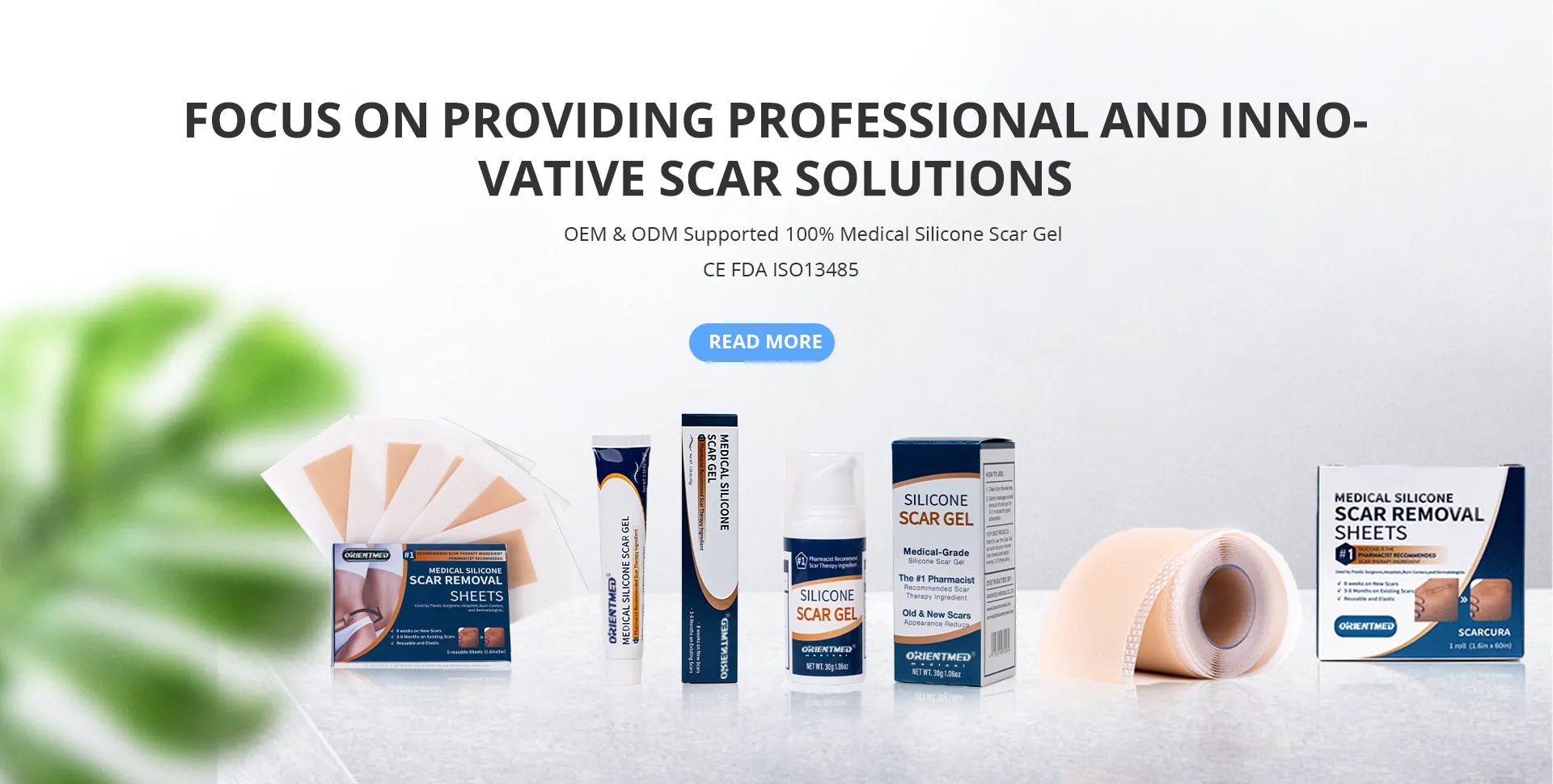 Ningbo Seaoriva Medical Co., Ltd. — Company Overview