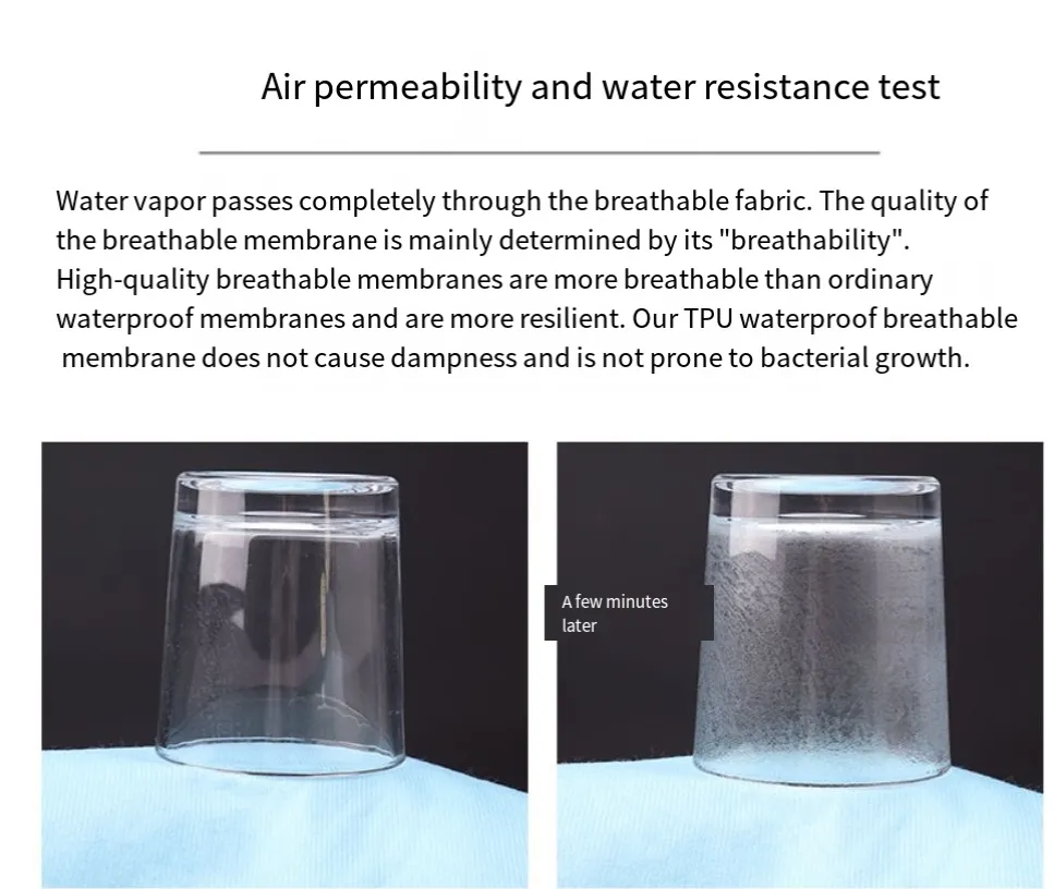 Adult Bed Urinals 11