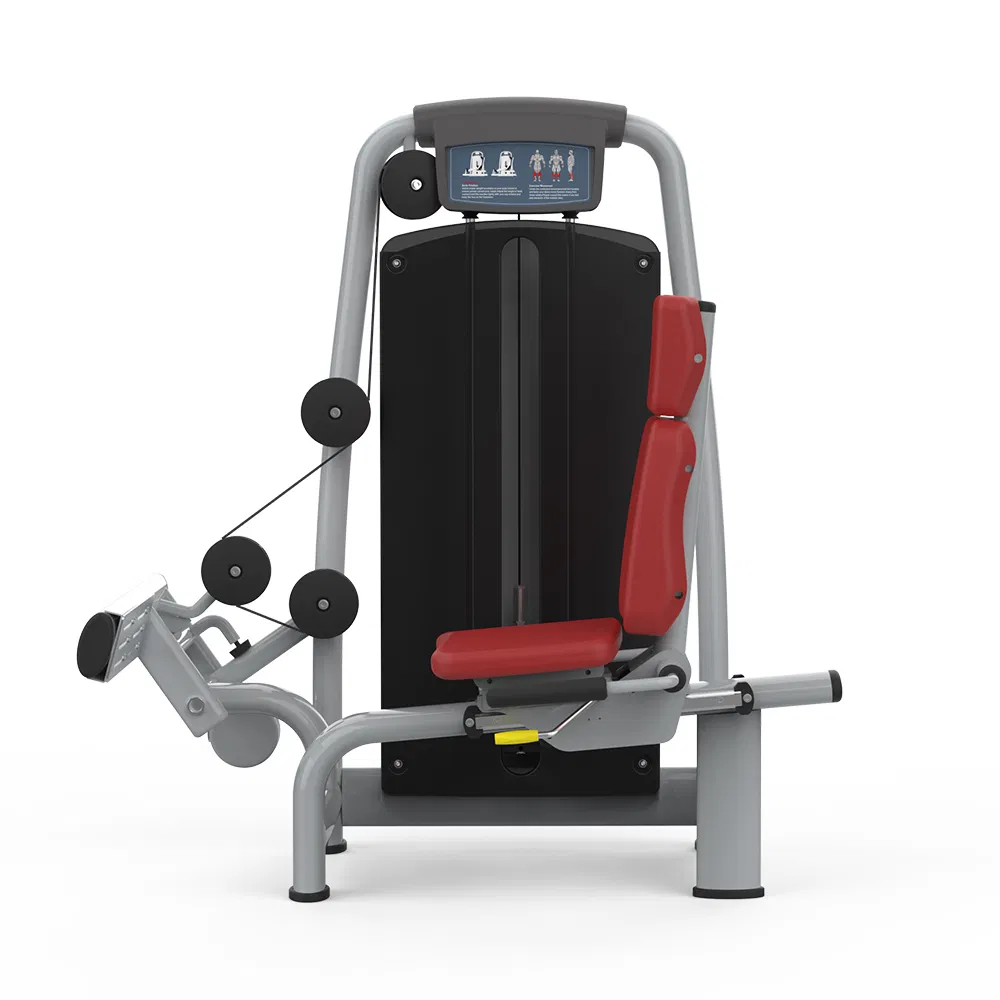 Hip Upduction Exercise Fitness Back Extension Gym Hydraumatic Rehabilitation Aid Fitness Equipment