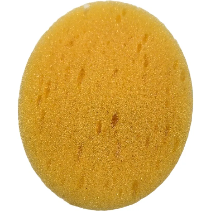 Cleaning Cloth Sponge Detail