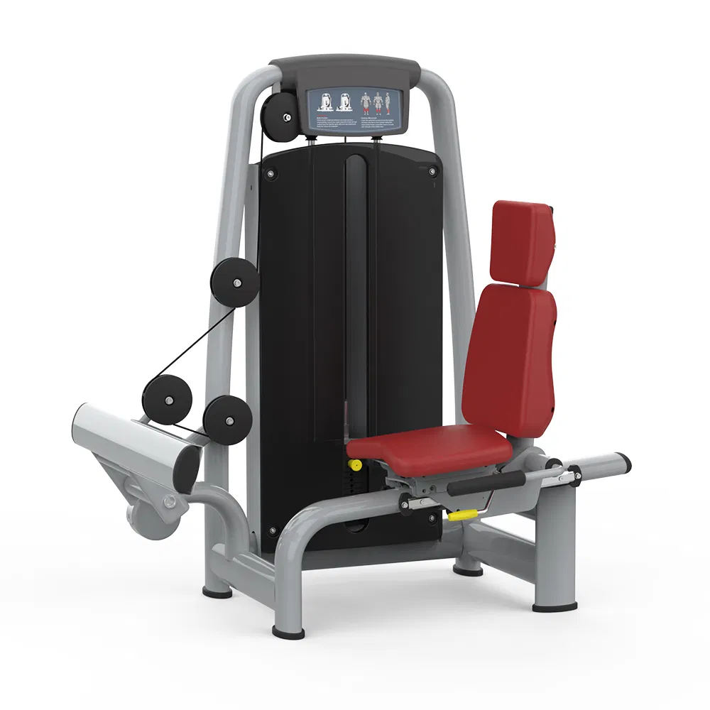 Hip Upduction Exercise Fitness Back Extension Gym Hydraumatic Rehabilitation Aid Fitness Equipment