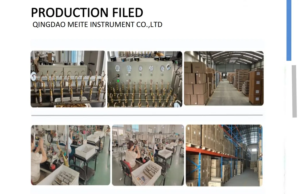 Pressure Gauge Variation 3