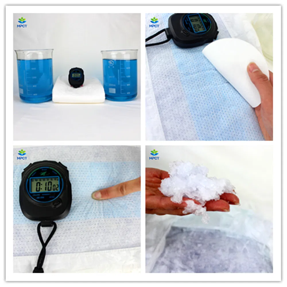 Water Absorption Test