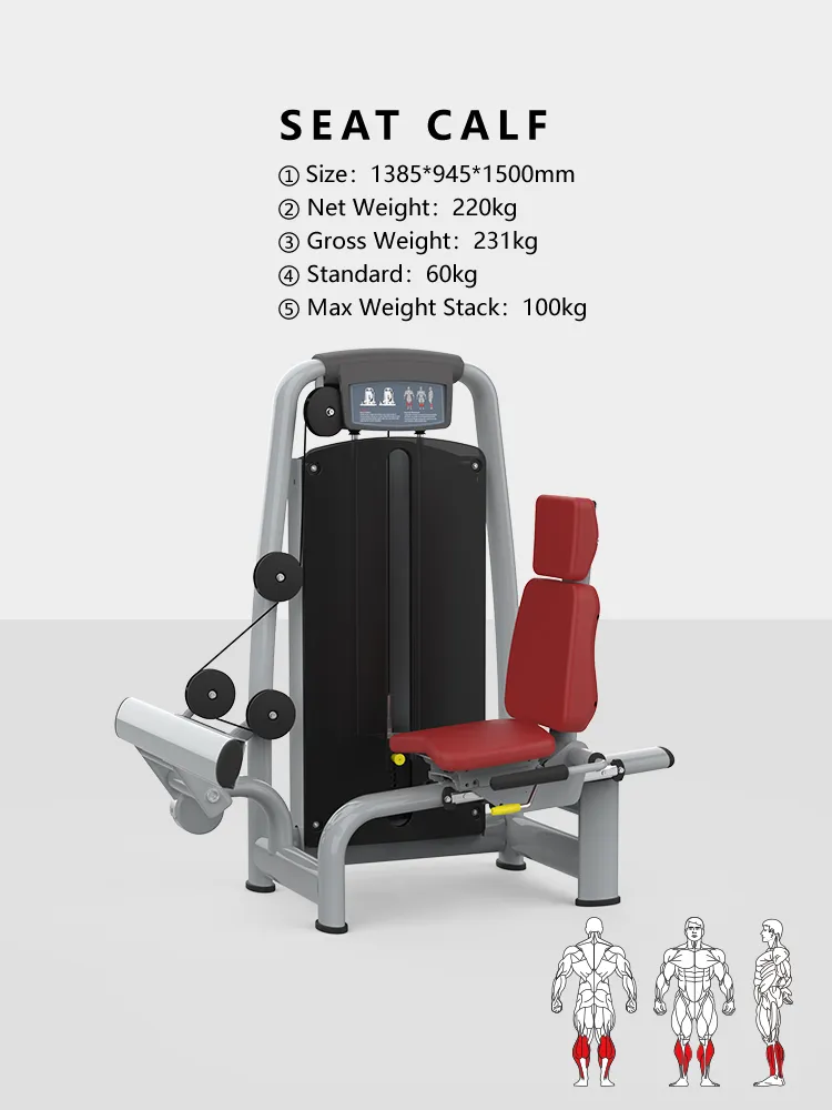 Fitness Equipment