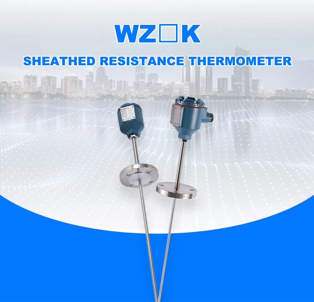 High-Precision Sheathed Resistance Thermometer 1