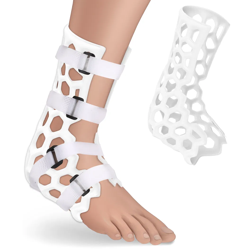 Orthopedic External Fixation Braces