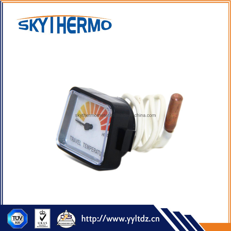 Capillary Case Plastic Capillary Thermometer with Pcv Coated Capillary