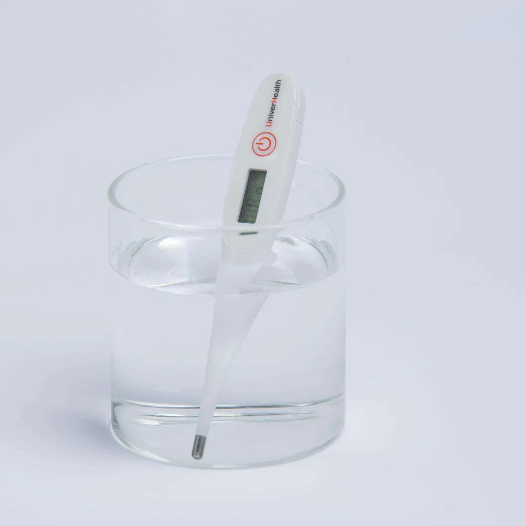 Thermometer Detail 1