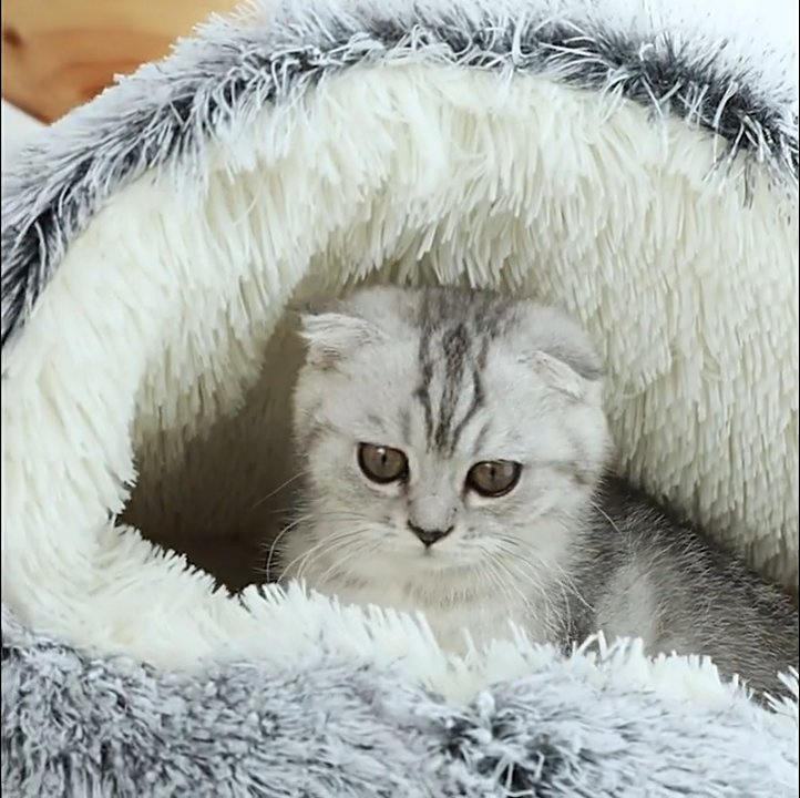 Pet Supplies Product Washable Reusable Cat Sleeping Half-Surrounded Kennel Dog Beds