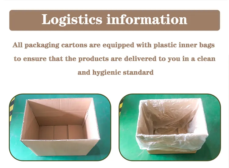 Child-Safe Vitamin and Medicine Storage Pouches