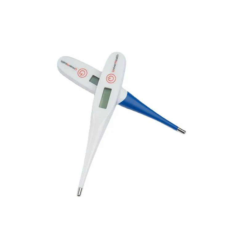 Thermometer Detail 2