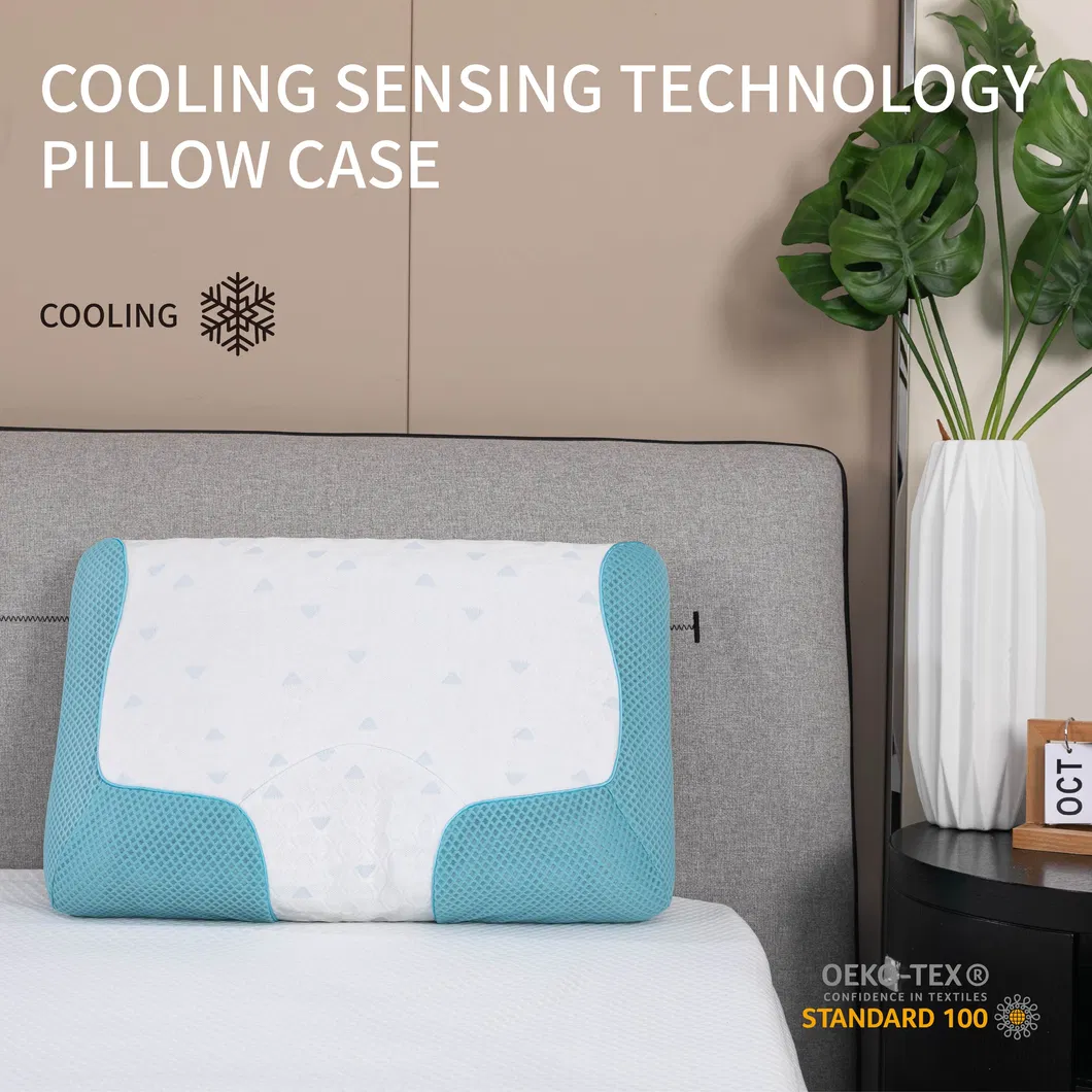 Bamboo Charcoal Pillow Core