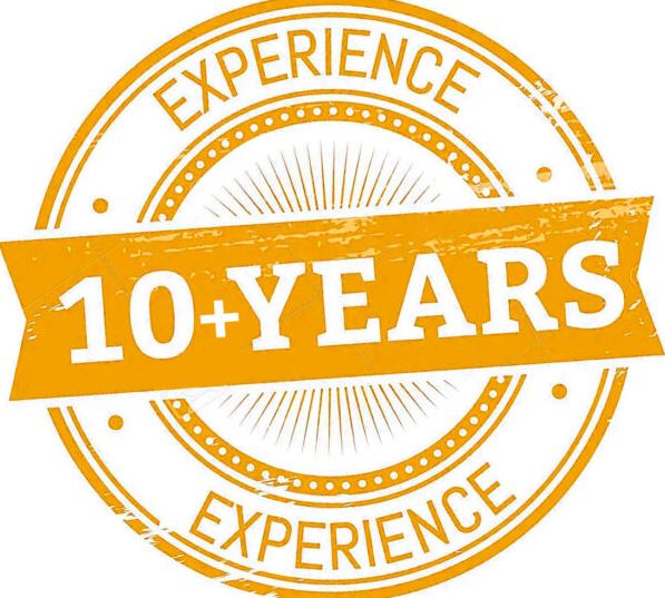 Professional Experience