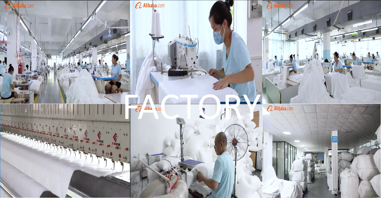 Factory Production Line