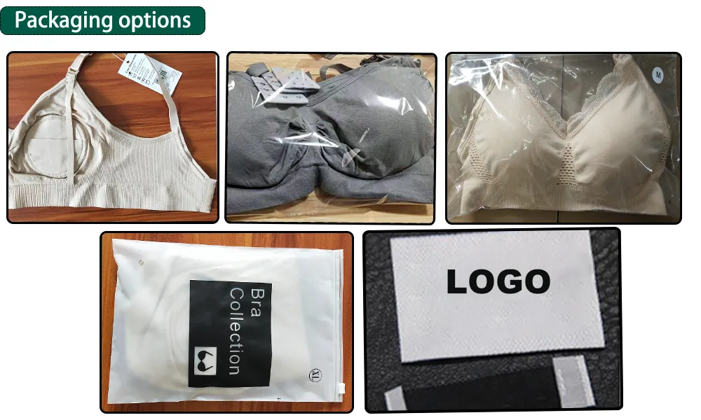 Logistics and Transport