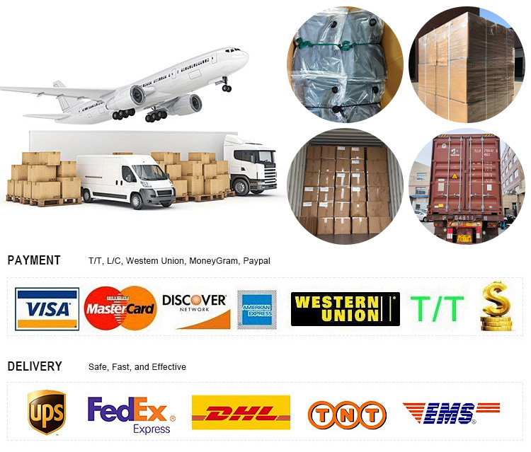 Packaging Logistics Details