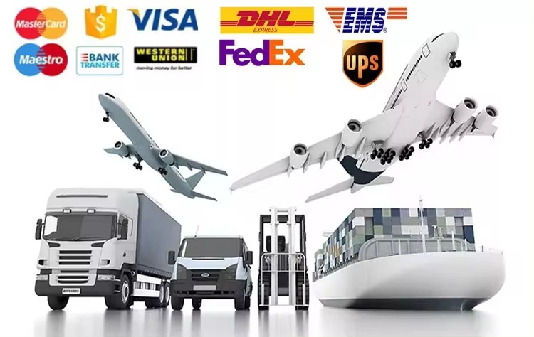 Logistics and Payment Methods