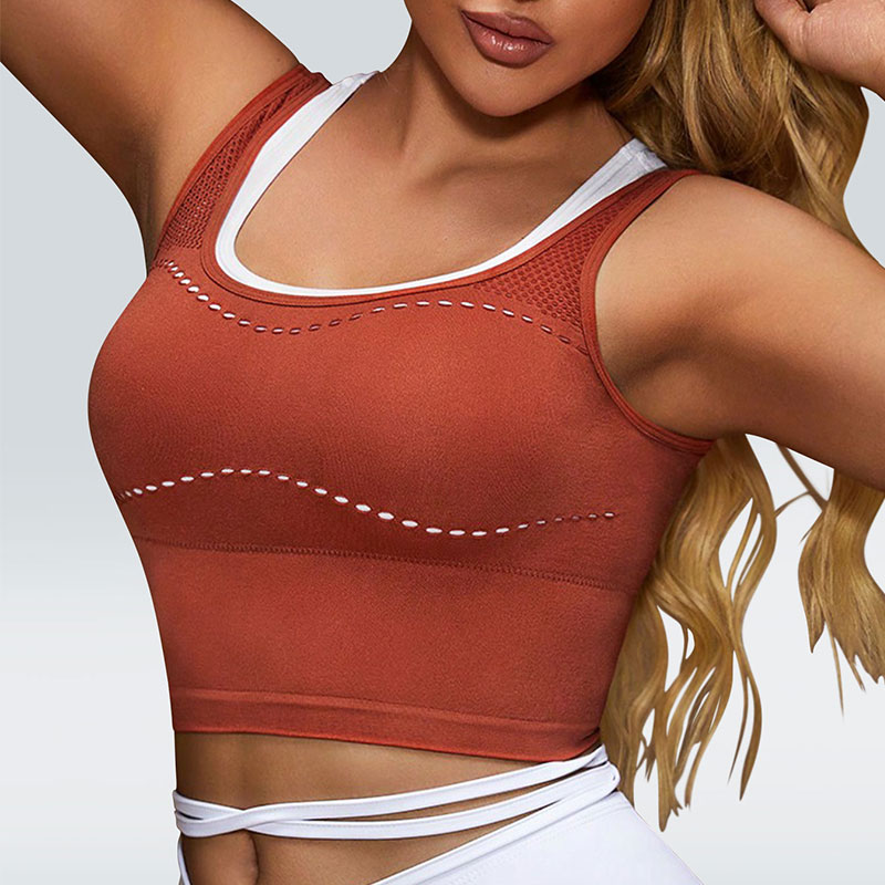 Seamless Women's Yoga Sports Bra Comfortable Layered-Look Design Activewear Running Sports Top