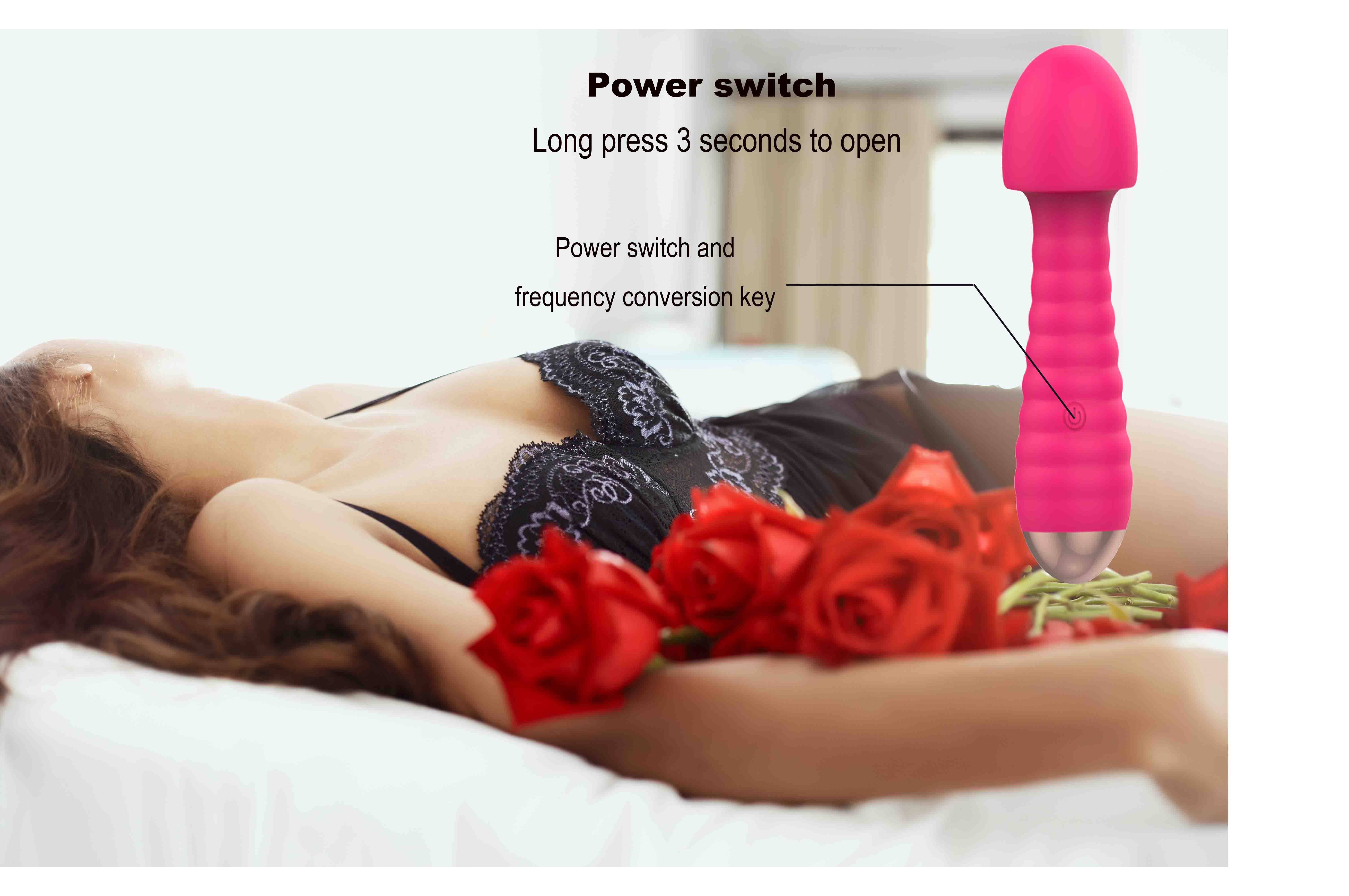 Vibrating Wand 6